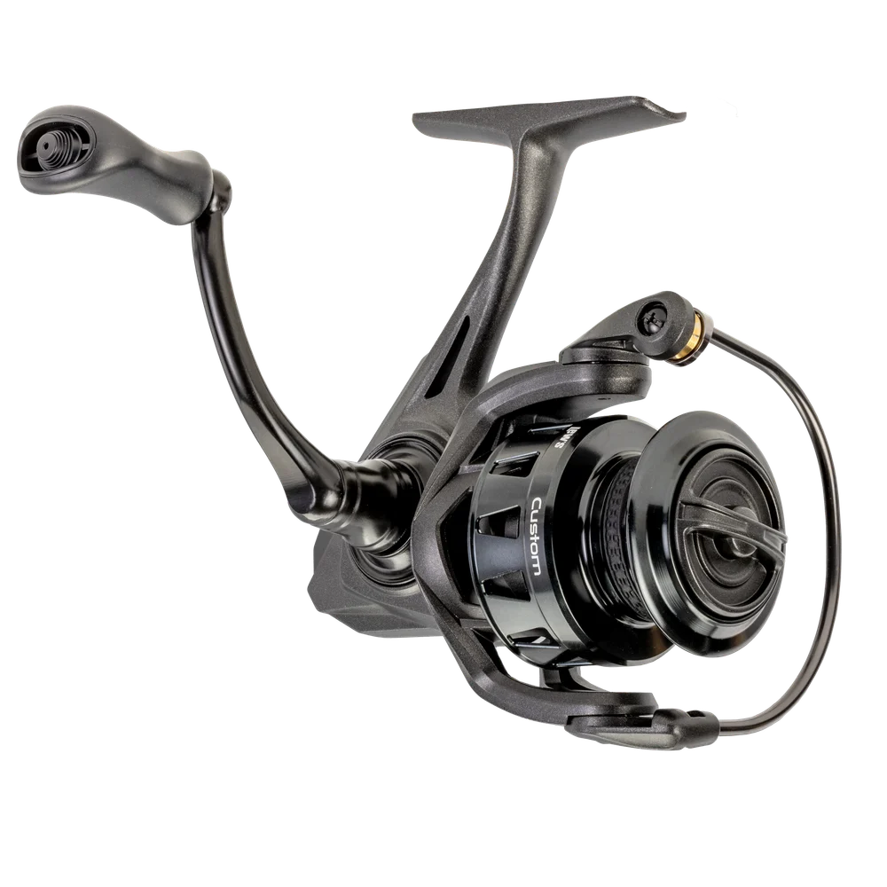 Lew's Custom Spinning Reel spinning reel - representative manufacturer image